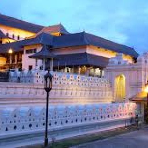 tooth relic